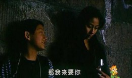 电影平果在线观看,揭秘网络世界的真实人生